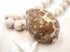 Creamy Brown and Beige Cowrie Shell